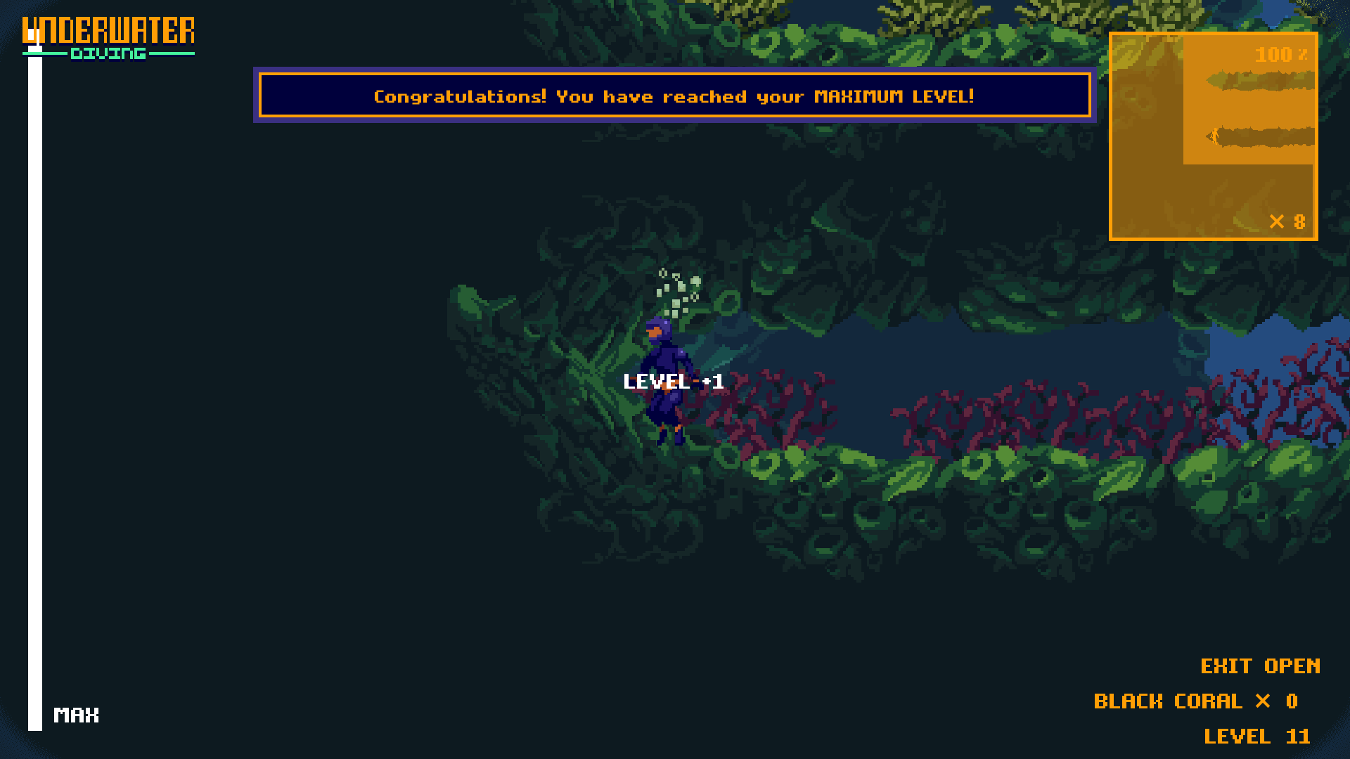 Level Up: Level Max (32)